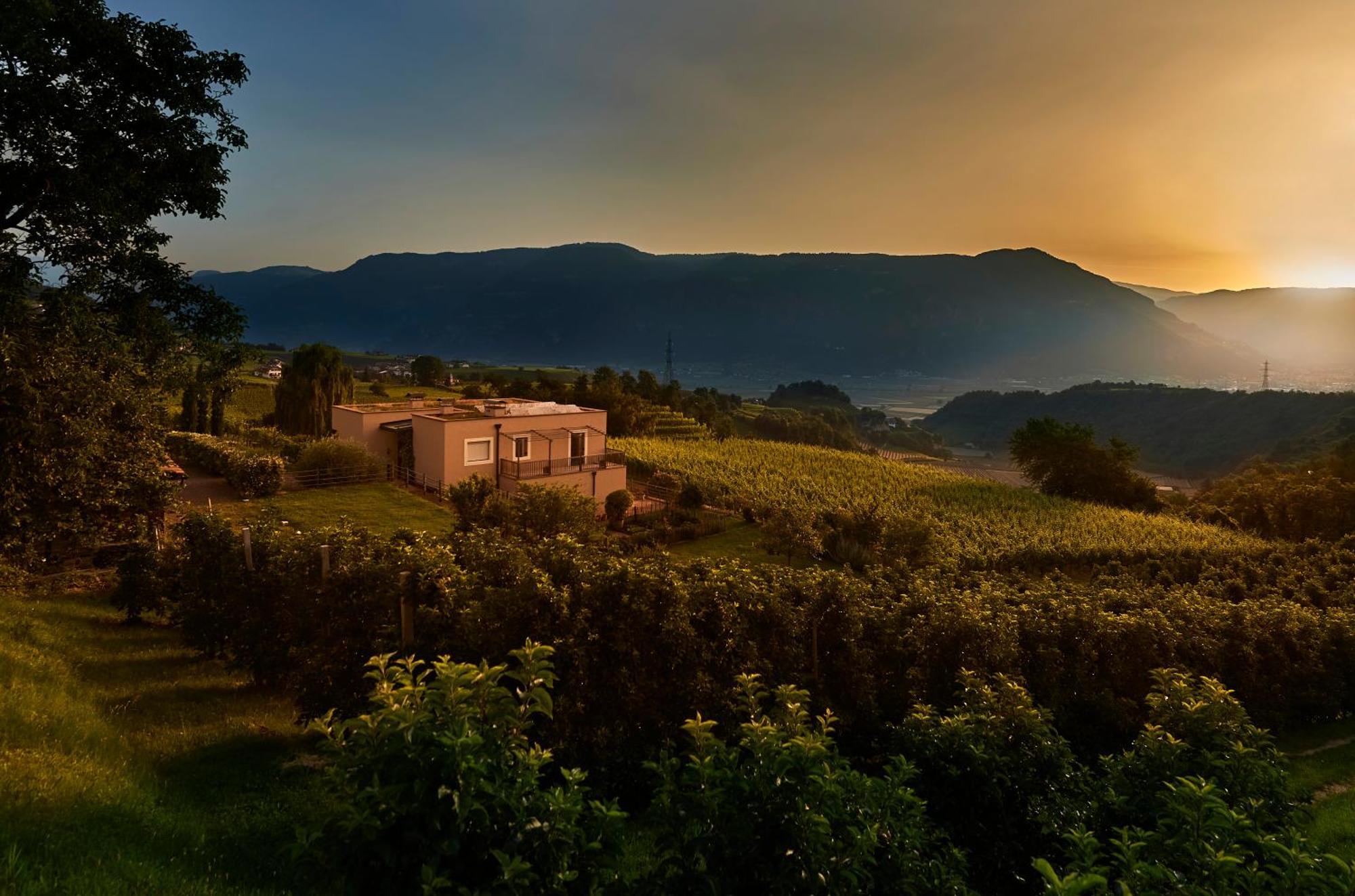 アッピアーノ・スッラ・ストラーダ・デル・ヴィーノWeingut Stuckアパートメント エクステリア 写真