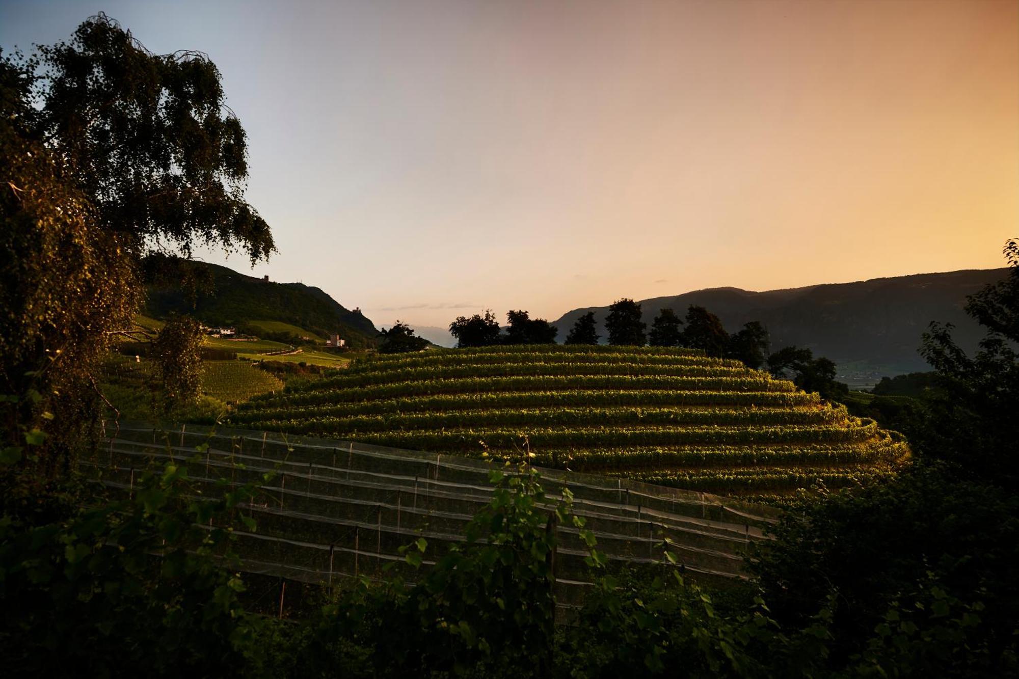 アッピアーノ・スッラ・ストラーダ・デル・ヴィーノWeingut Stuckアパートメント エクステリア 写真